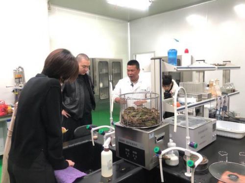 科技賦能農業新篇章 CCTV 1聚焦云谷田園LED植物工廠，珍稀本草金線蓮成功培育引領生物技術新服務